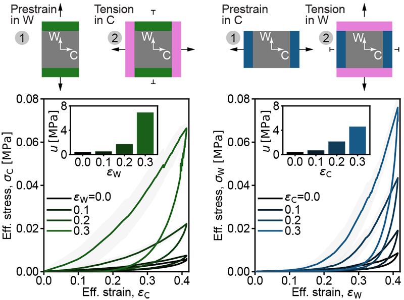 Pre-strain applied in the wale or course direction systematically shifts the stress-strain response and dissipated energy measured in the orthogonal direction