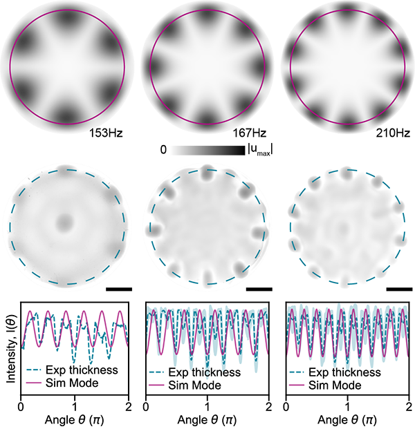 At 153, 167 and 210 Hz: finite-element mode shapes, the measured thickness fields of the fabricated shells, and azimuthal intensity profiles comparing experiment and simulation, showing six, eight and ten bumps