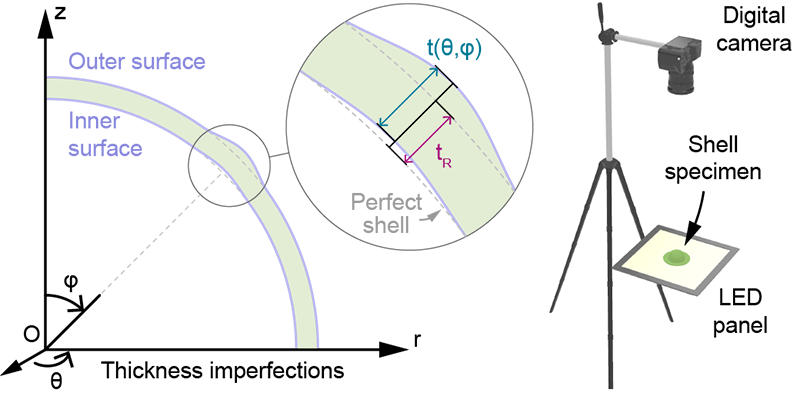 Schematic defining shell thickness between inner and outer surfaces relative to a perfect shell, and the imaging rig with a digital camera above a shell specimen on an LED panel