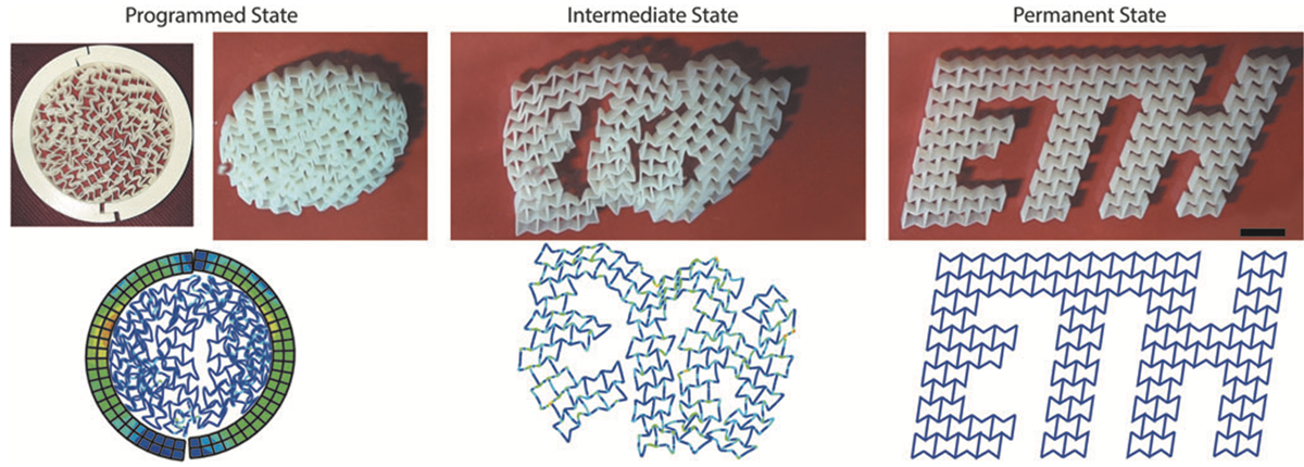 A patterned lattice transforming from a programmed compact state, through an intermediate, into the spelled-out letters E T H, with matching simulation below