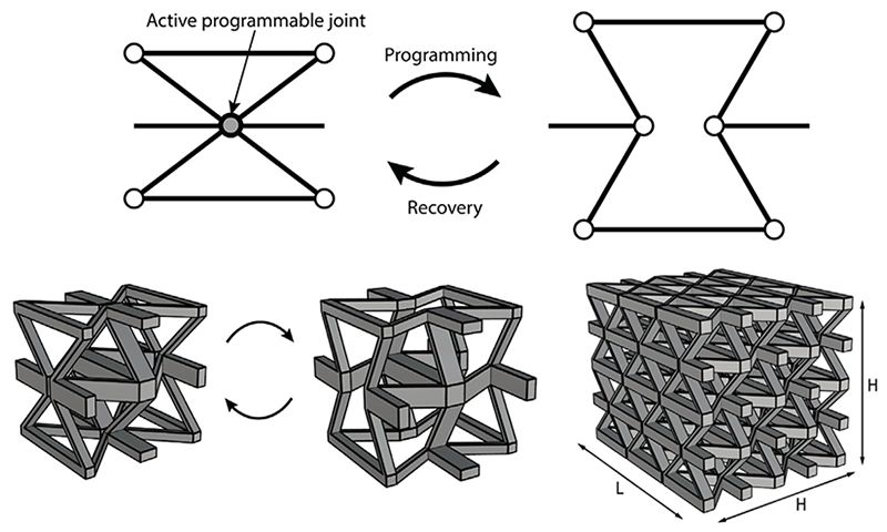 An active programmable joint that switches a unit cell between two connectivities under programming and recovery, the corresponding bistable lattice unit, and a full three-dimensional lattice tiled from it