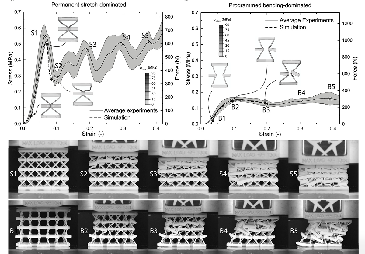 Stress-strain and force-displacement curves comparing the stretch-dominated states (S1 to S6) and bending-dominated states (B1 to B5) of the lattice, with photographs of each tested specimen