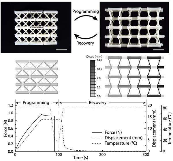 A lattice programmed into a deformed state and thermally recovered, with force, displacement, and temperature plotted against time across the programming and recovery phases