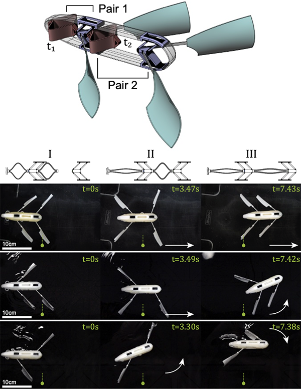 A swimmer with two actuator pairs and the time sequence of its sequential multi-stroke motion