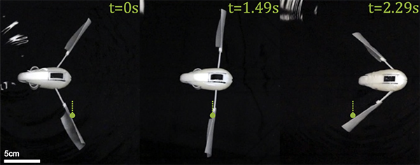 Time sequence at t=0, 1.49, and 2.29 seconds of a single-stroke swimmer advancing through water