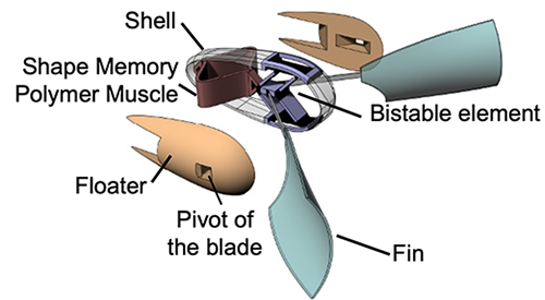 Labeled design of the soft swimmer: outer shell, shape-memory polymer muscle, bistable element, floaters, blade pivot, and fins