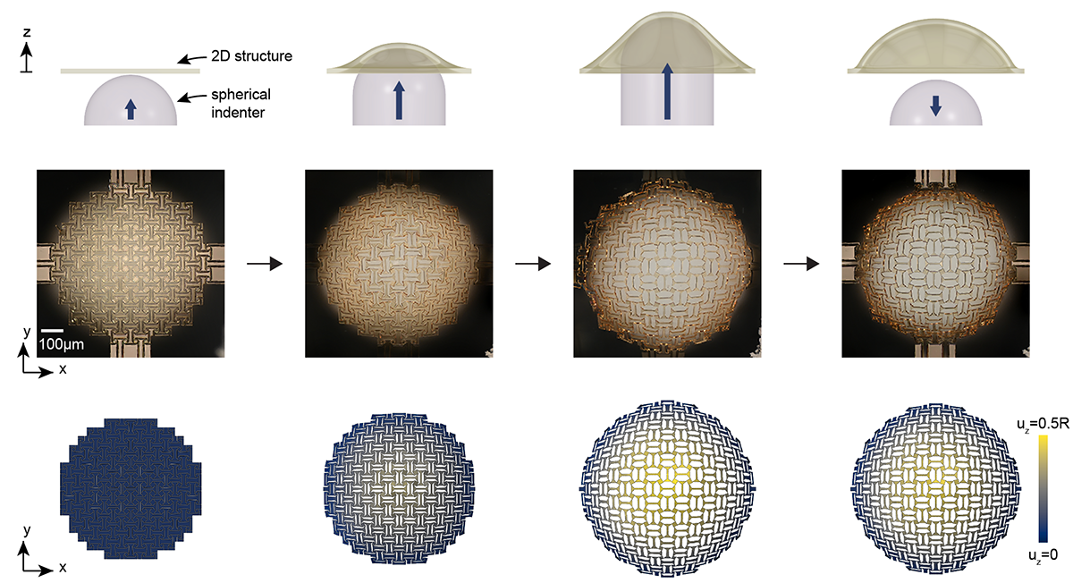 A flat precursor being deployed by a spherical indenter into a free-standing 3D dome, shown in schematic, microscopy, and finite-element snapshots