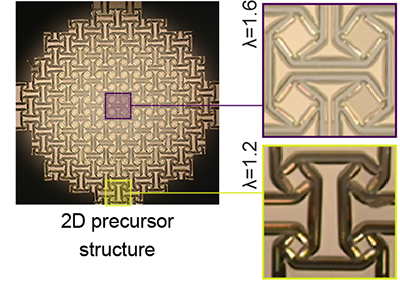 Microscope image of the wafer-fabricated flat precursor for the dome, showing the spatially varying cell microstructure