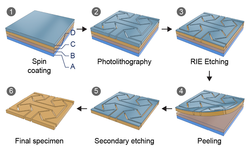 Six-step wafer fabrication: spin coating a layered stack, photolithography, reactive-ion etching, peeling the film from the wafer, a secondary etch, and the final released specimen