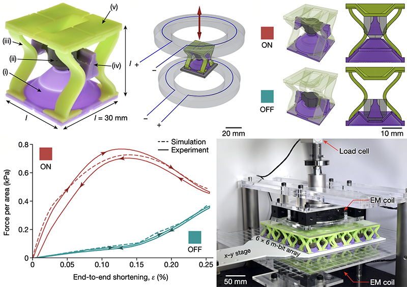 The m-bit unit cell in its ON and OFF states, its force-displacement response, and a tessellated array under mechanical loading