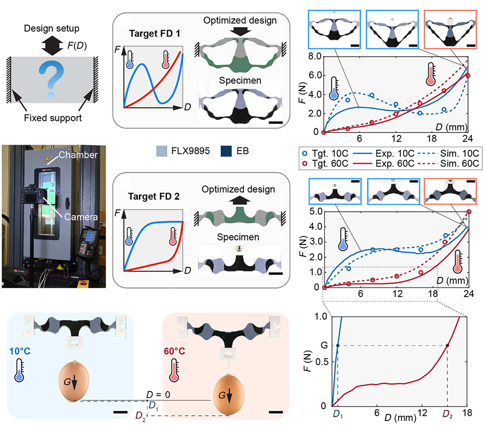 Two target force-displacement behaviors, the optimized two-material designs and printed specimens that realize them, and the measured cold and warm responses matching the targets