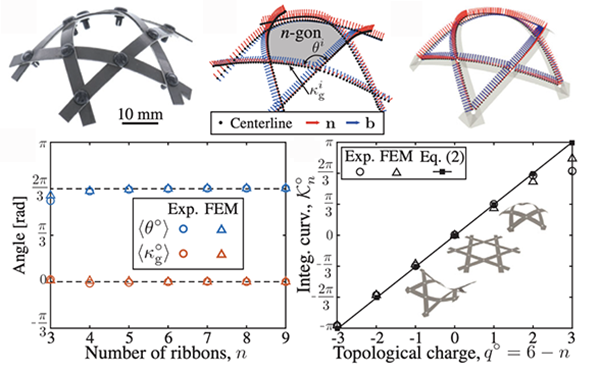 A woven unit cell with its central n-gon and ribbon centerline, and plots showing the cell angle and integrated curvature set by the number of ribbons and the topological charge