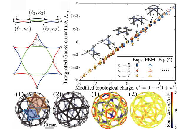 Integrated Gauss curvature collapsing onto a single line against a modified topological charge for several ribbon numbers, with woven spherical structures below