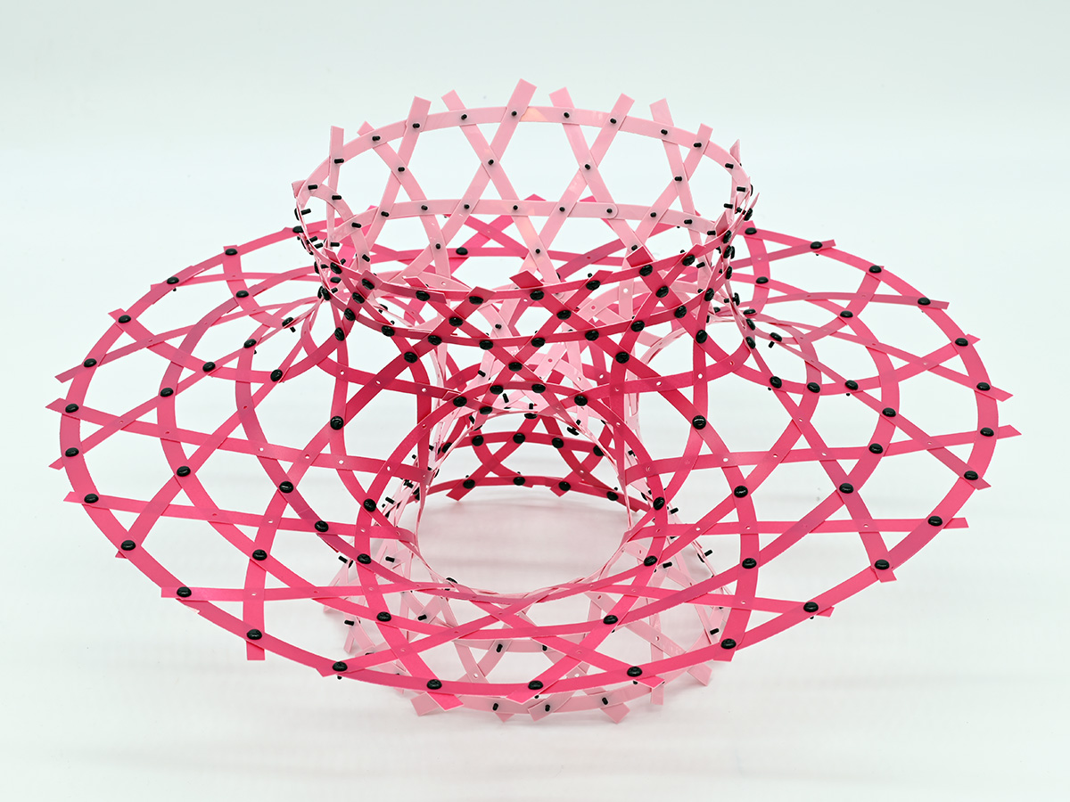 A woven dome made of interlaced curved ribbons