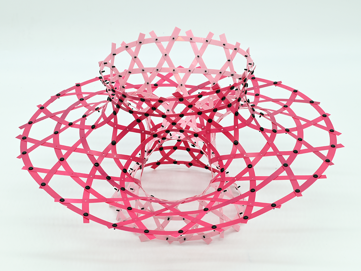 A woven dome made of interlaced curved ribbons