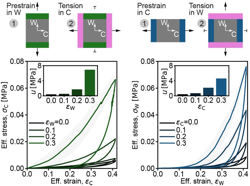 Pre-strain applied in the wale or course direction systematically shifts the stress-strain response and dissipated energy measured in the orthogonal direction