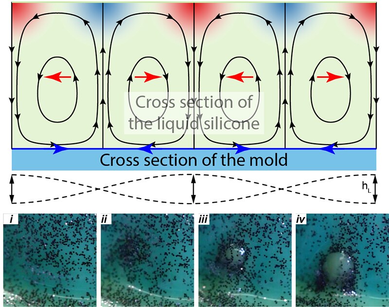 Cross-section schematic of the steady streaming flow in the liquid silicone over one vibration wavelength, with streamlines and pressure, alongside photographs of silicone gathering at the antinodes