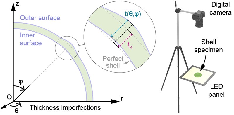 Schematic defining shell thickness between inner and outer surfaces relative to a perfect shell, and the imaging rig with a digital camera above a shell specimen on an LED panel