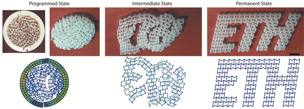 A patterned lattice transforming from a programmed compact state, through an intermediate, into the spelled-out letters E T H, with matching simulation below