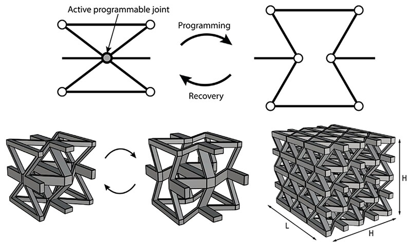 An active programmable joint that switches a unit cell between two connectivities under programming and recovery, the corresponding bistable lattice unit, and a full three-dimensional lattice tiled from it