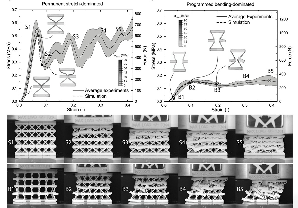 Stress-strain and force-displacement curves comparing the stretch-dominated states (S1 to S6) and bending-dominated states (B1 to B5) of the lattice, with photographs of each tested specimen