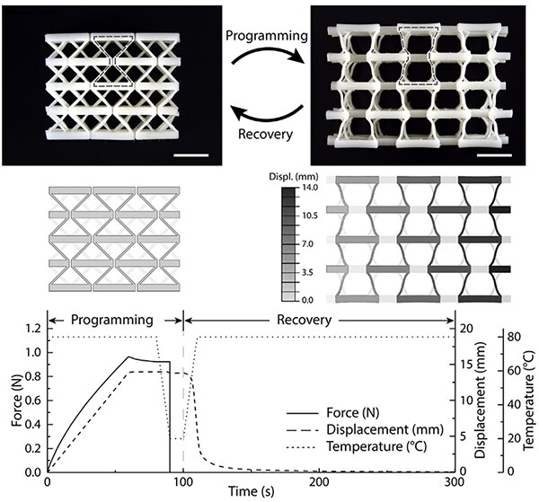 A lattice programmed into a deformed state and thermally recovered, with force, displacement, and temperature plotted against time across the programming and recovery phases