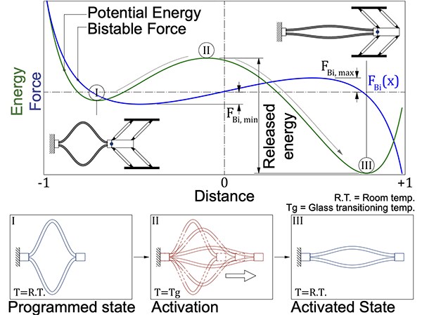 Potential-energy and force curves of the bistable element versus distance, showing the asymmetric barrier and released energy, with programmed, activation, and activated states of the shape-memory muscle below