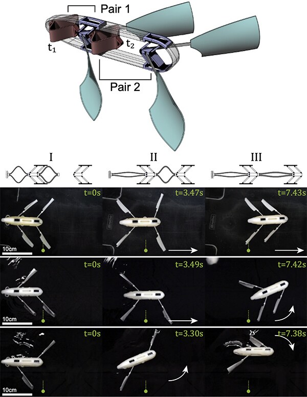 A swimmer with two actuator pairs and the time sequence of its sequential multi-stroke motion
