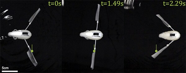 Time sequence at t=0, 1.49, and 2.29 seconds of a single-stroke swimmer advancing through water