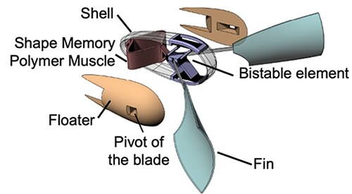 Labeled design of the soft swimmer: outer shell, shape-memory polymer muscle, bistable element, floaters, blade pivot, and fins