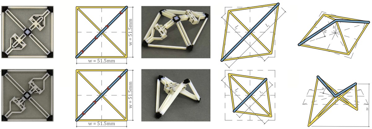 Two serially connected actuators deploying, shown in experiment and matching schematic, expanding the structure as both units snap