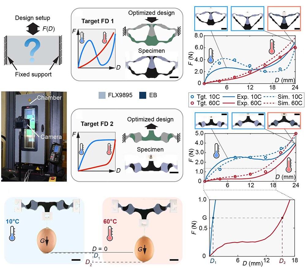 Two target force-displacement behaviors, the optimized two-material designs and printed specimens that realize them, and the measured cold and warm responses matching the targets