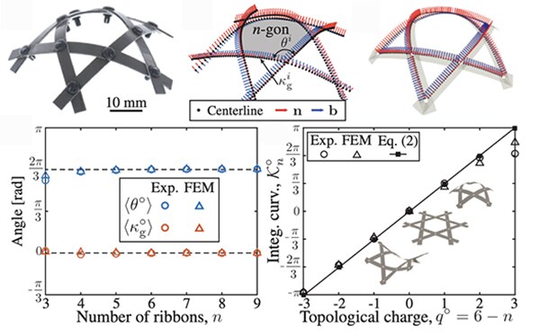 A woven unit cell with its central n-gon and ribbon centerline, and plots showing the cell angle and integrated curvature set by the number of ribbons and the topological charge