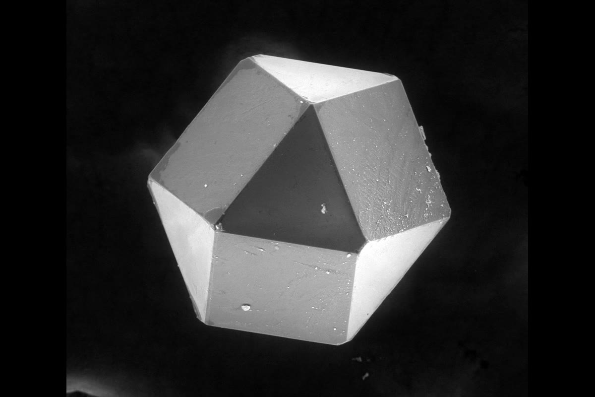 Scanning electron micrograph of a faceted single crystal